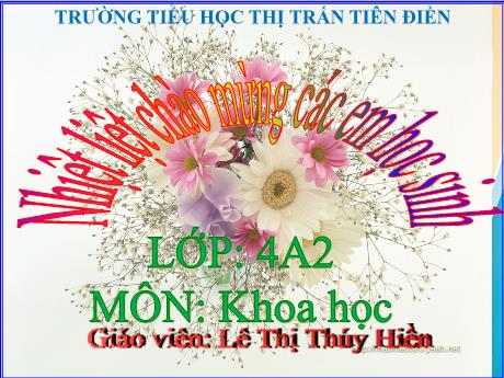 Bài giảng Khoa học 4 - Bài 10: Âm thanh trong cuộc sống (Tiết 2) - Năm học 2024-2025 - Lê Thị Thúy Hiền