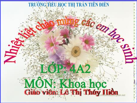 Bài giảng Khoa học 4 - Bài 15: Thực vật cần gì để sống (Tiết 2) - Năm học 2024-2025 - Lê Thị Thúy Hiền