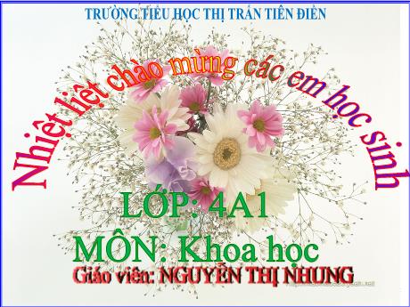 Bài giảng Khoa học 4 - Bài 20: Nấm ăn và nấm trong chế biến thực phẩm (Tiết 2) - Năm học 2024-2025 - Nguyễn Thị Nhung