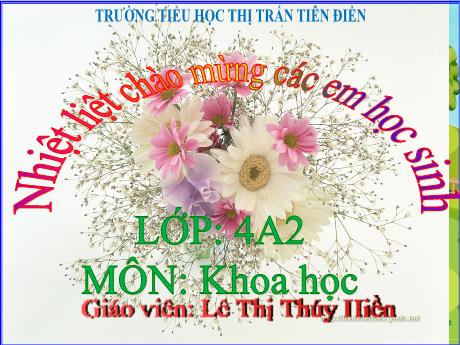 Bài giảng Khoa học 4 - Bài 21: Nấm gây hỏng thức ăn và nấm độc (Tiết 1) - Năm học 2024-2025 - Lê Thị Thúy Hiền