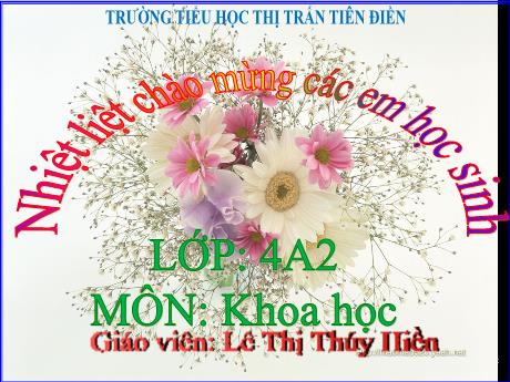 Bài giảng Khoa học 4 - Bài 3: Sự ô nhiễm và bảo vệ nguồn nước. Một số cách làm sạch nước (Tiết 2) - Năm học 2024-2025 - Lê Thị Thúy Hiền