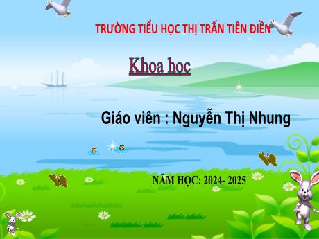 Bài giảng Khoa học 4 - Bài 3: Sự ô nhiễm và bảo vệ nguồn nước. Một số cách làm sạch nước (Tiết 1) - Năm học 2024-2025 - Nguyễn Thị Nhung