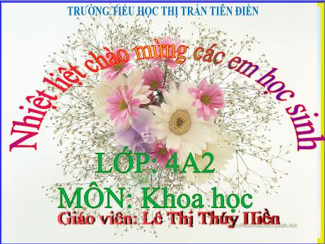 Bài giảng Khoa học 4 - Bài 5: Vai trò của không khí và bảo vệ bầu không khí trong lành (Tiết 1) - Năm học 2024-2025 - Lê Thị Thúy Hiền