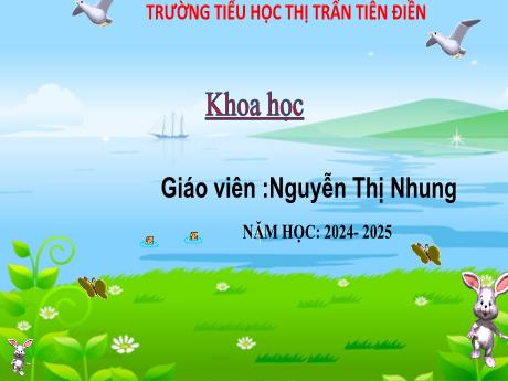 Bài giảng Khoa học 4 - Bài 8: Ánh sáng và sự truyền ánh sáng - Năm học 2024-2025 - Nguyễn Thị Nhung