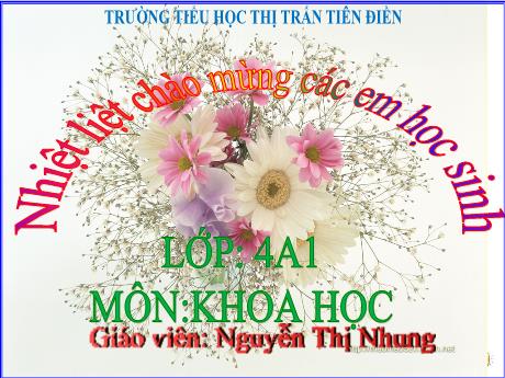 Bài giảng Khoa học 4 - Bài 9: Vai trò của ánh sáng - Nguyễn Thị Nhung