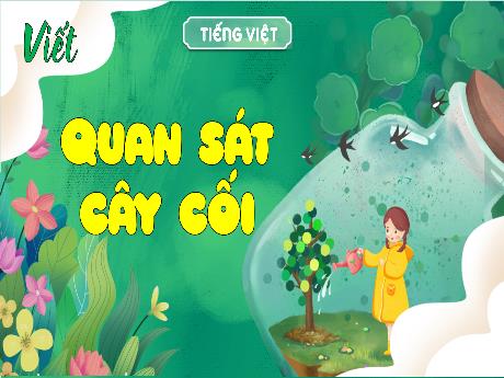 Bài giảng Tiếng Việt 4 - Bài: Quan sát cây cối - Võ Thị Hồng Gấm